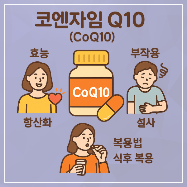코엔자임 Q10(CoQ10) 효능, 부작용, 복용법 총정리