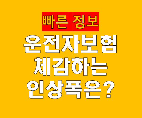 구조 개편 이후 운전자보험 보험료 얼마나 달라졌나|체감 인상폭과 실제 부담 분석
