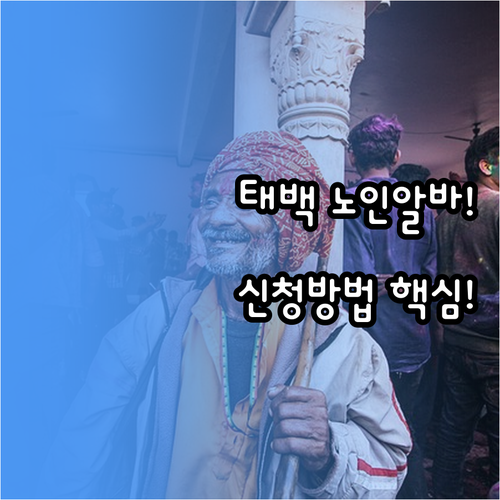 태백시 시니어클럽 노인일자리 종류와 ..