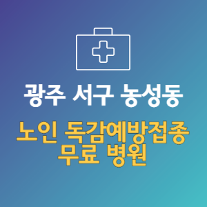 광주 서구 농성동 노인 독감예방접종 무료 병원