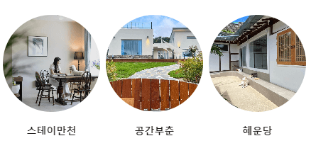 반려생활