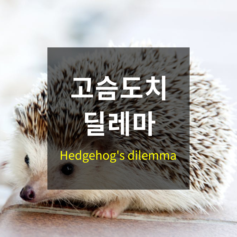 고슴도치 딜레마