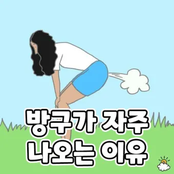 잦은방귀 원인 증상 해결방법_18