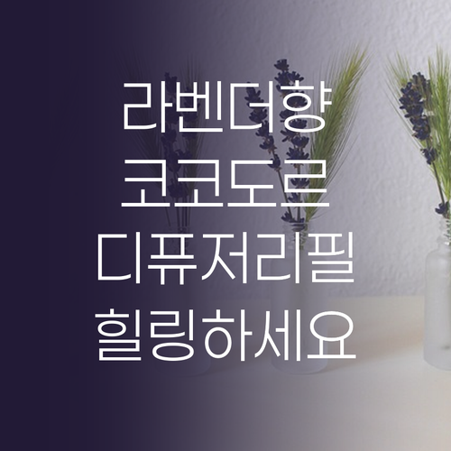라벤더 향으로 힐링하세요 코코도르 디..