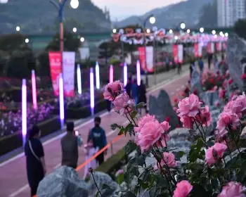 삼척 장미축제_5