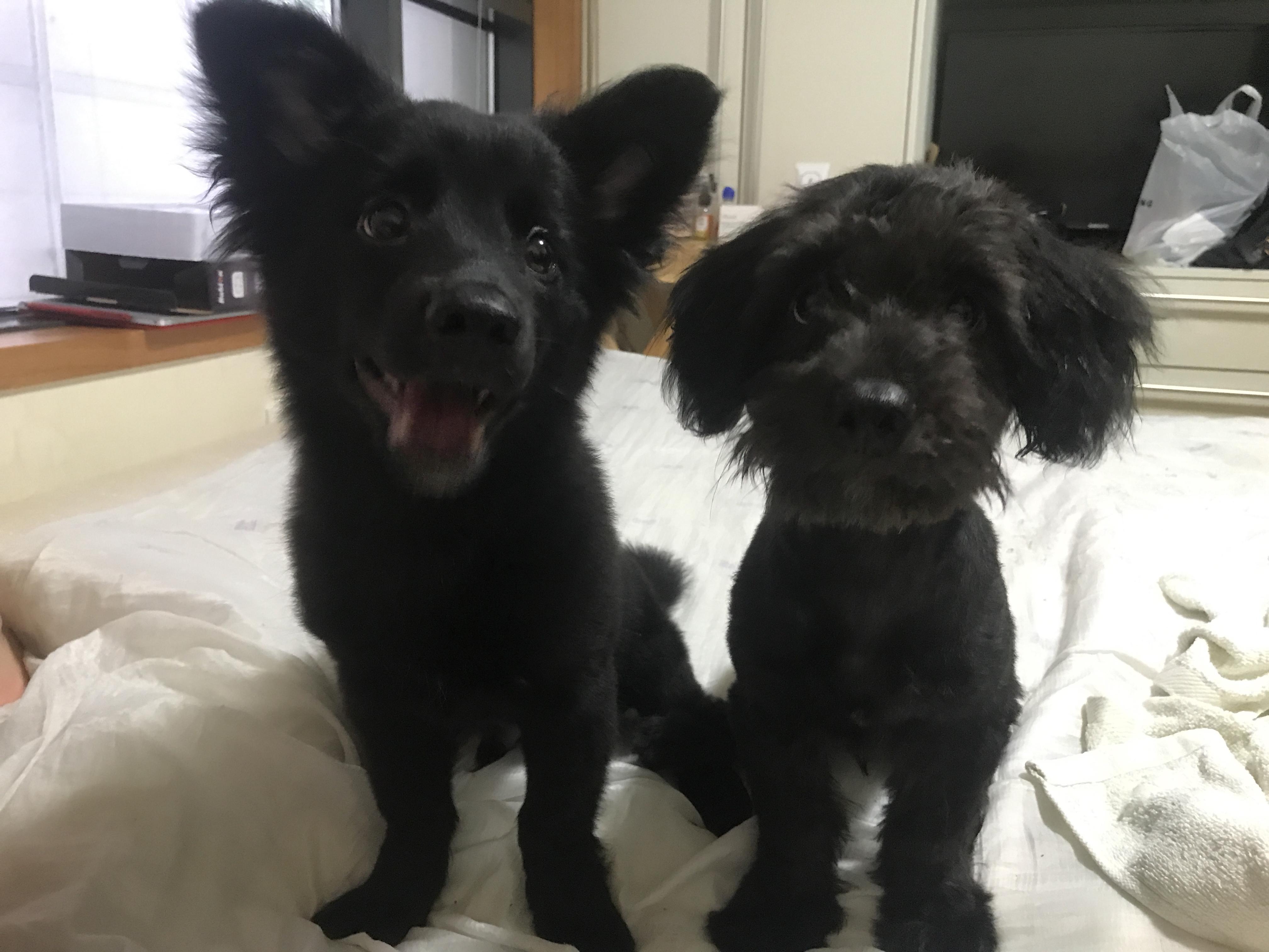 올바른 온도계 사용 방법