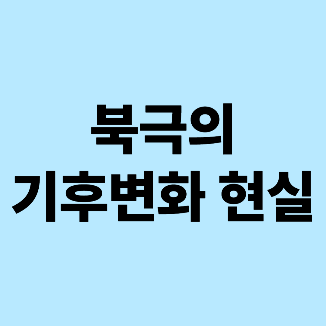 북극의 기후변화 현실