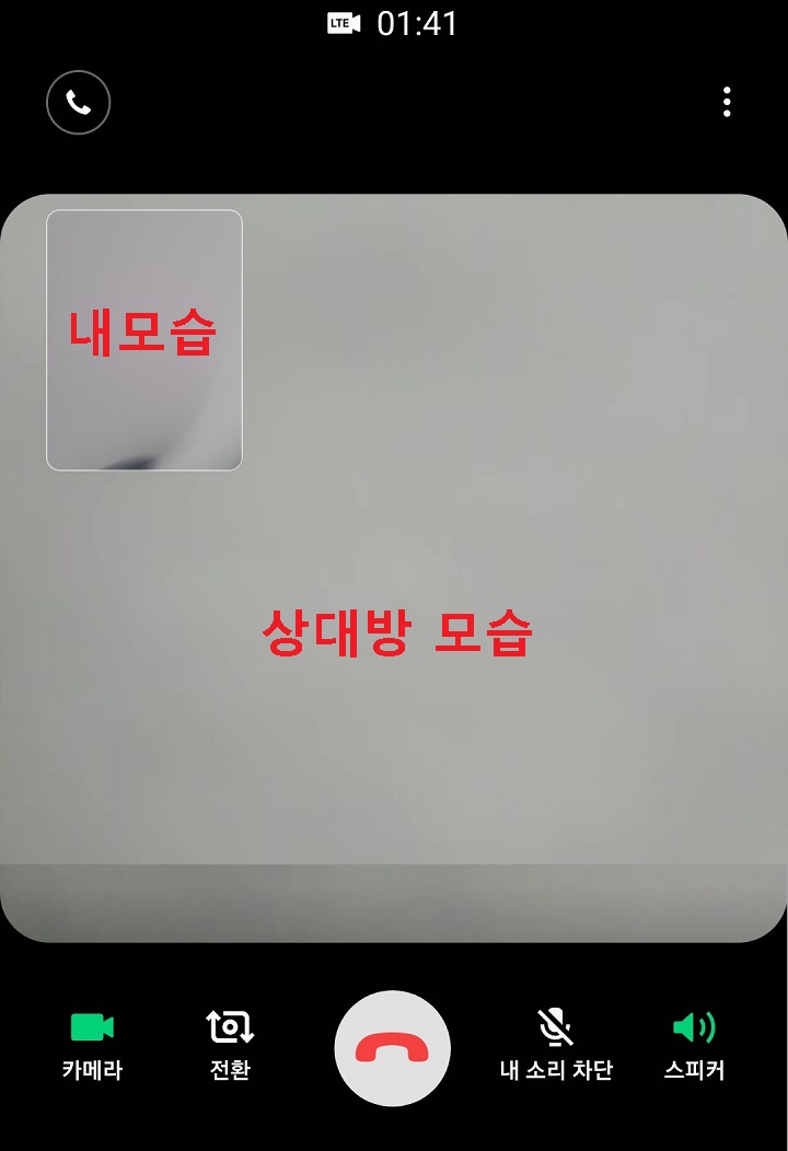 좌측상단에 내모습이보이고 전체화면에 상대방이 보인다.