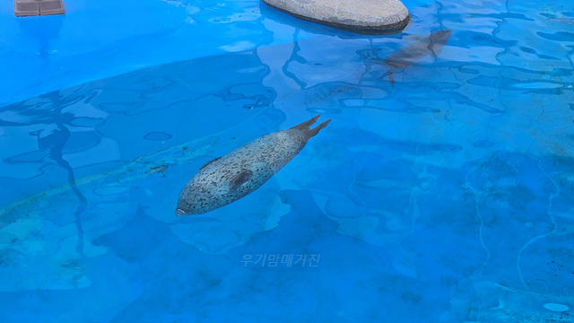 순천만국가정원 어린이 동물원 서문 순천여행 24년 11월 사진