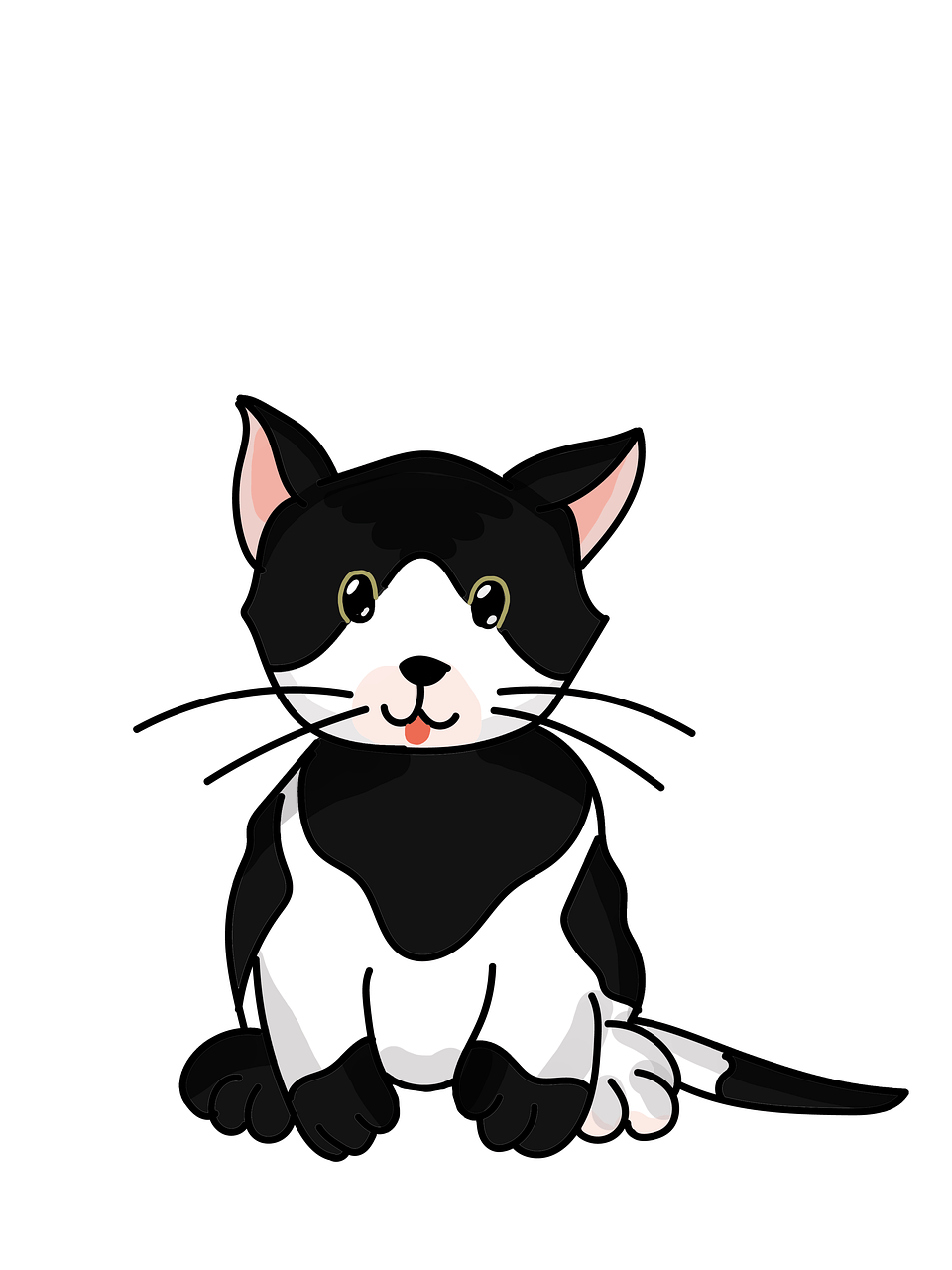 한국 야생 고양이 삵의 장기 번식 주기 예측 — 기후 변화가 발정 시기에 미치는 영향