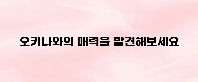 일본 오키나와 자유여행 명소 및 드라이브 코스, 음식 추천