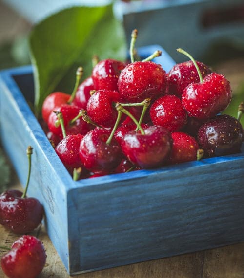 GI지수가-낮은-체리