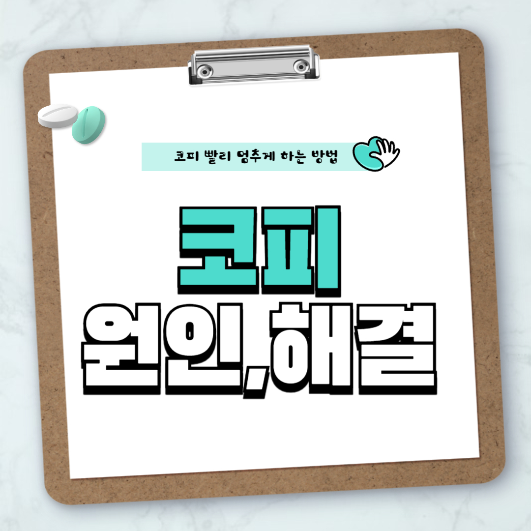 코피 멈추게 하는 방법