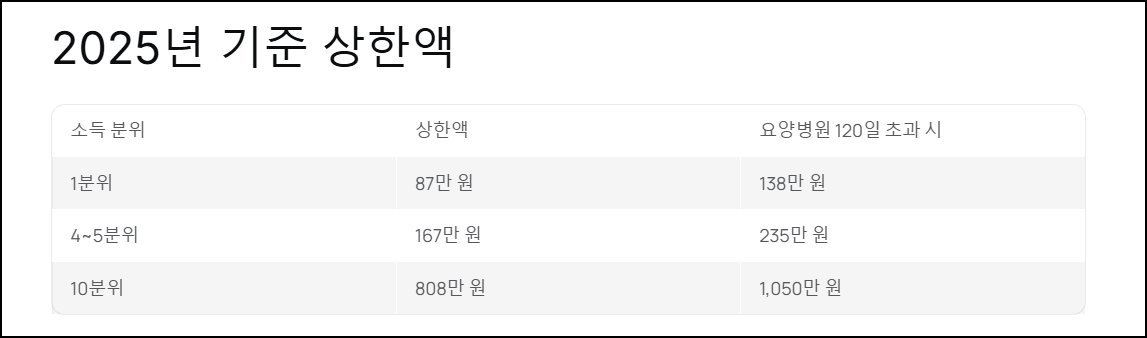 2025년 기준 상한액