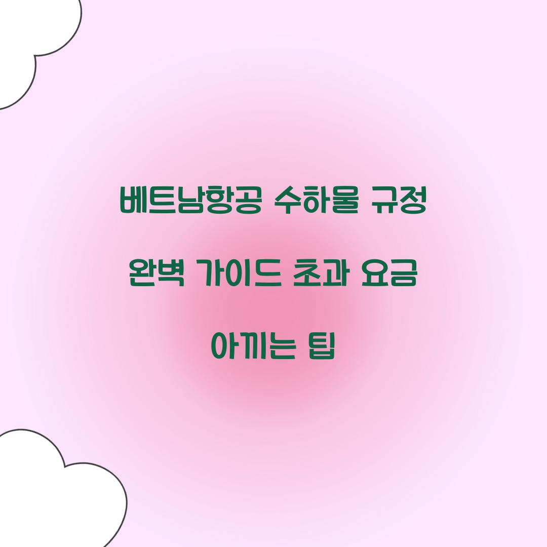 베트남항공 수하물 규정