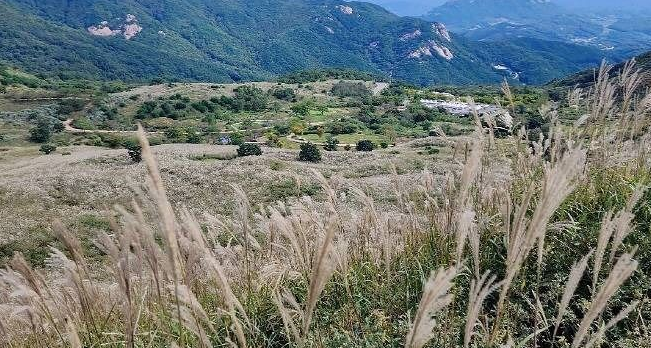 합천 황매산