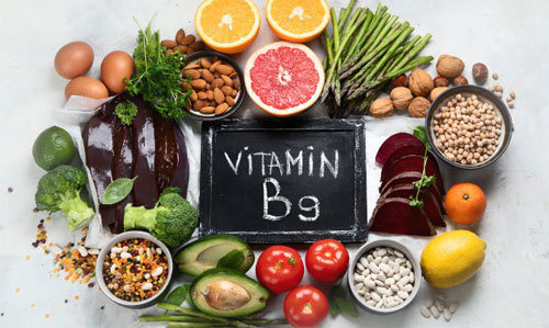 성인 엽산 하루 권장량 섭취량