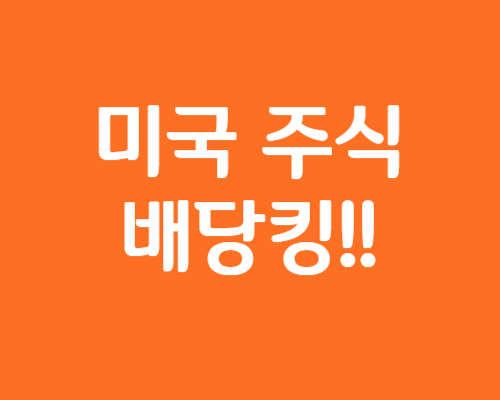 미국주식 배당킹