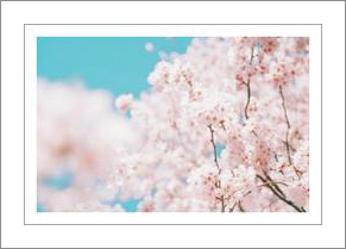 봄에 듣기 좋은 노래