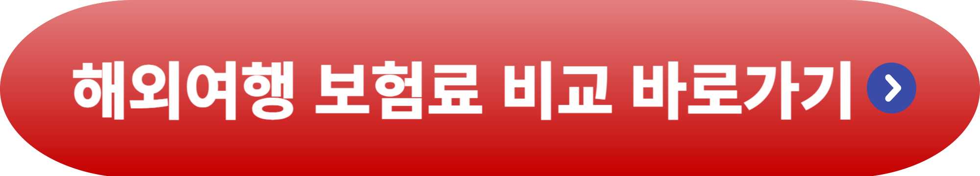 해외여행 보험