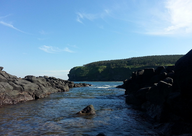제주의 테우, 나무배의 마지막 항해