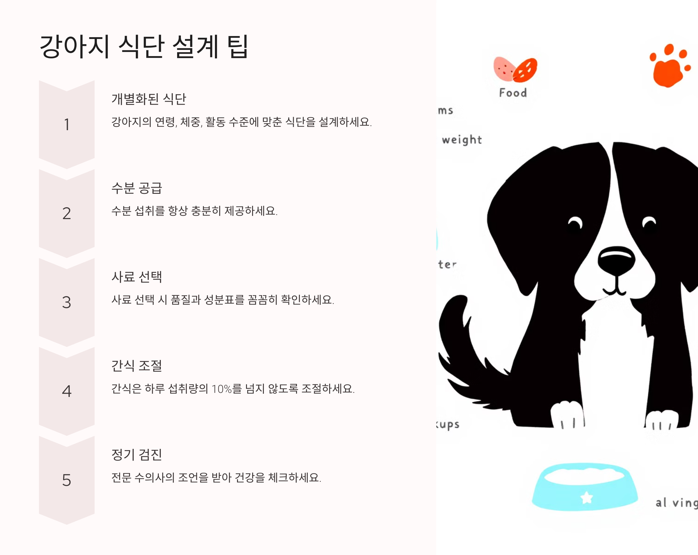 강아지 식단 설계 팁