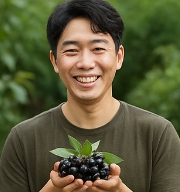 아로니아 효능