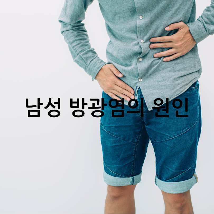 남성 방광염 원인과 증상, 자가치료법
