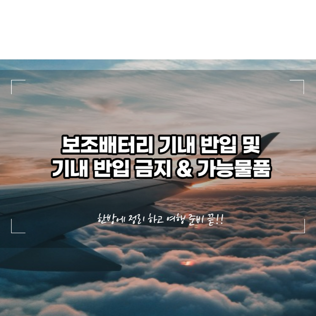 보조배터리 기내 바입 및 물품 정리