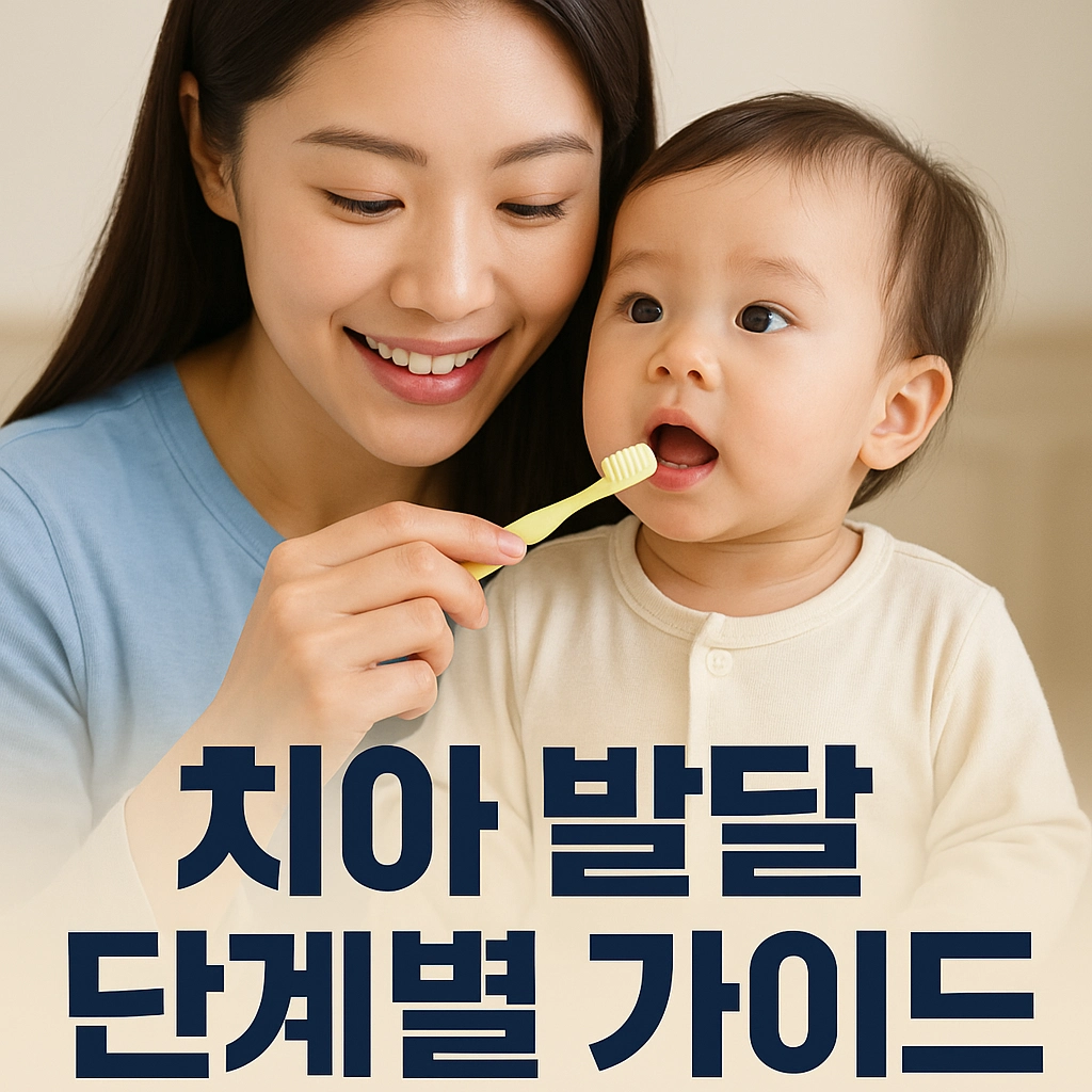 치아 발달 단계별 가이드