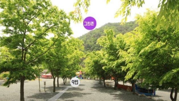  자연펜션캠핑장