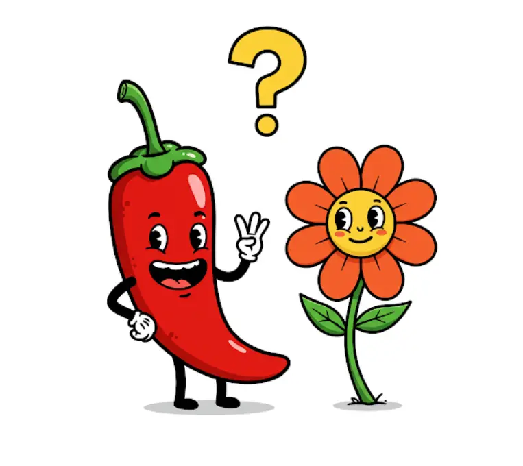 고추꽃이-안피는-이유-1