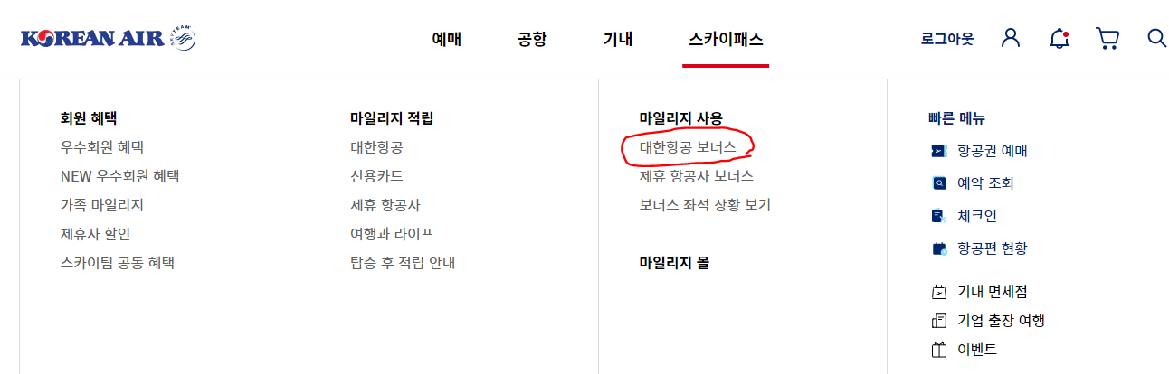 대한항공 마일리지 보너스 항공권 사용방법 - '스카이 패스' 및 '대한항공 보너스' 선택