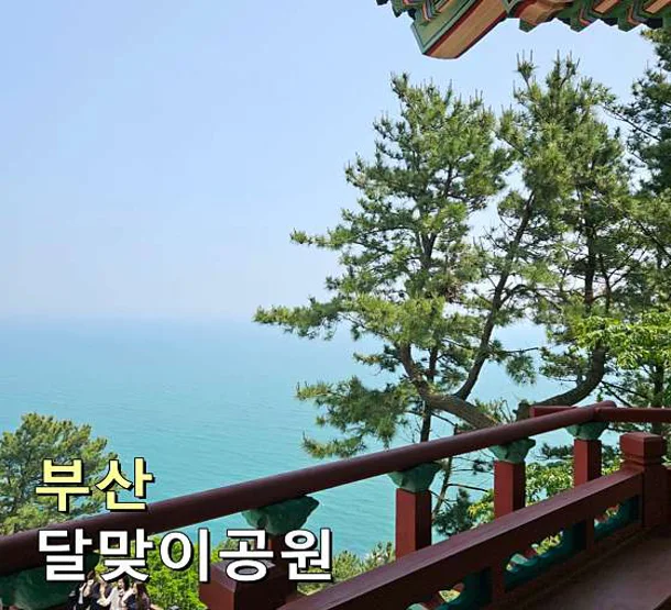 달맞이동산
