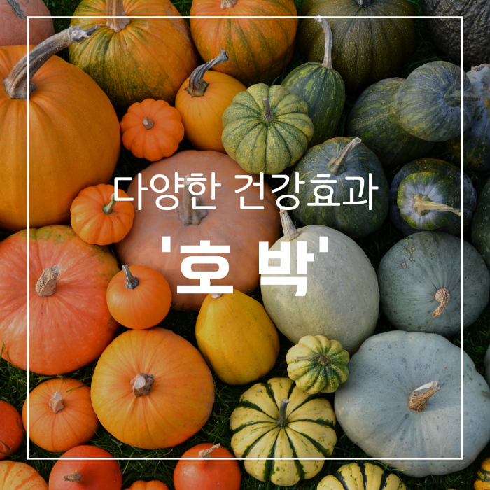 호박
