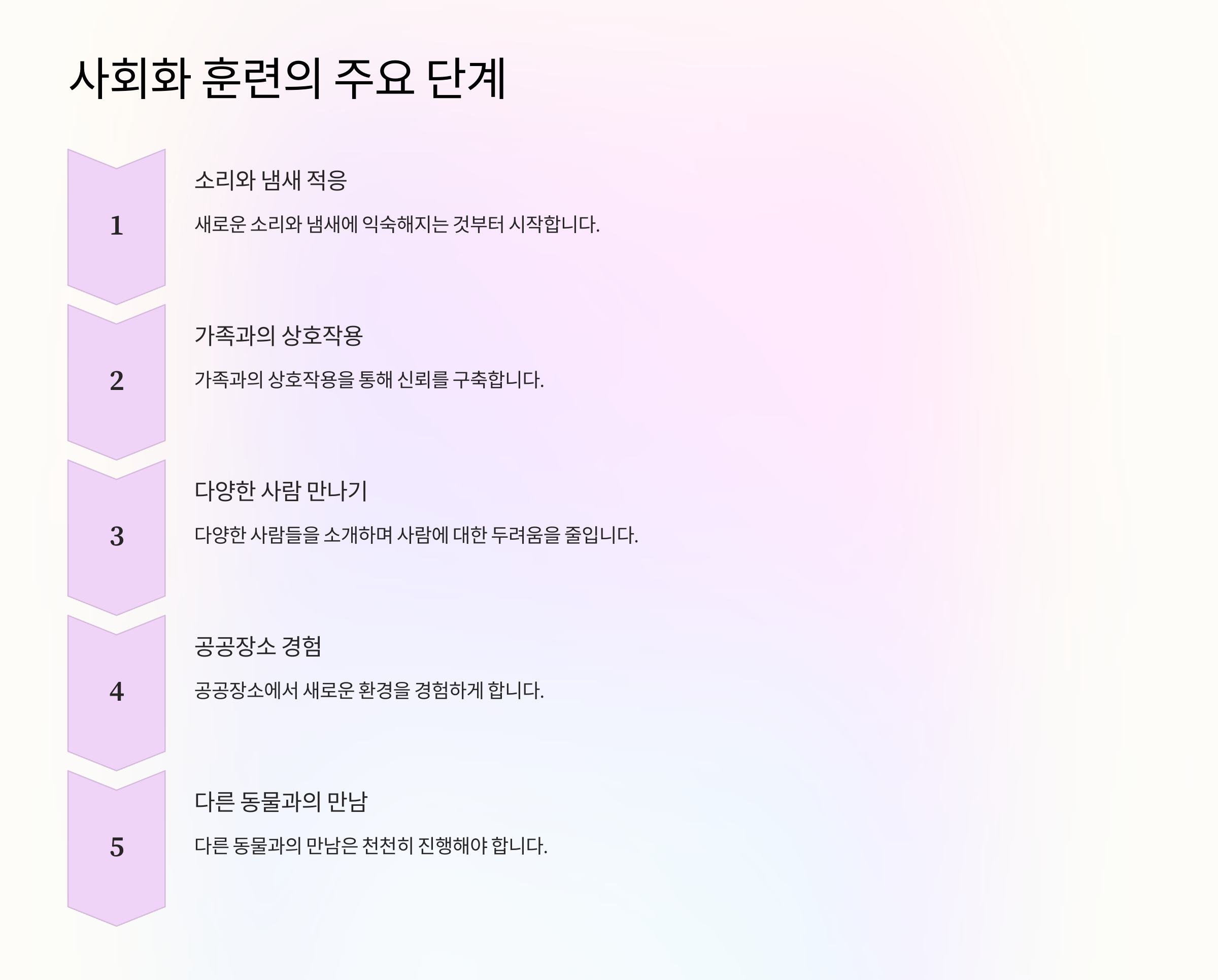 사회화 훈련의 주요 단계