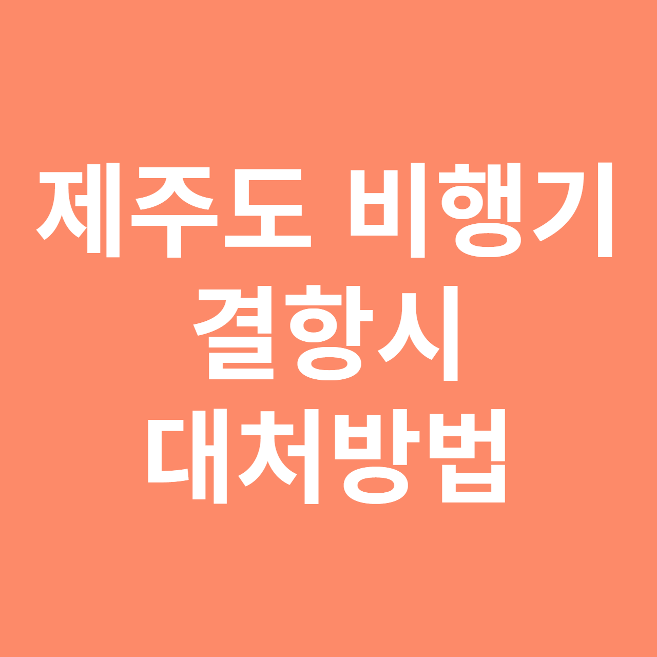 제주도 비행기 결항시 대처 방법 (실제 후기)