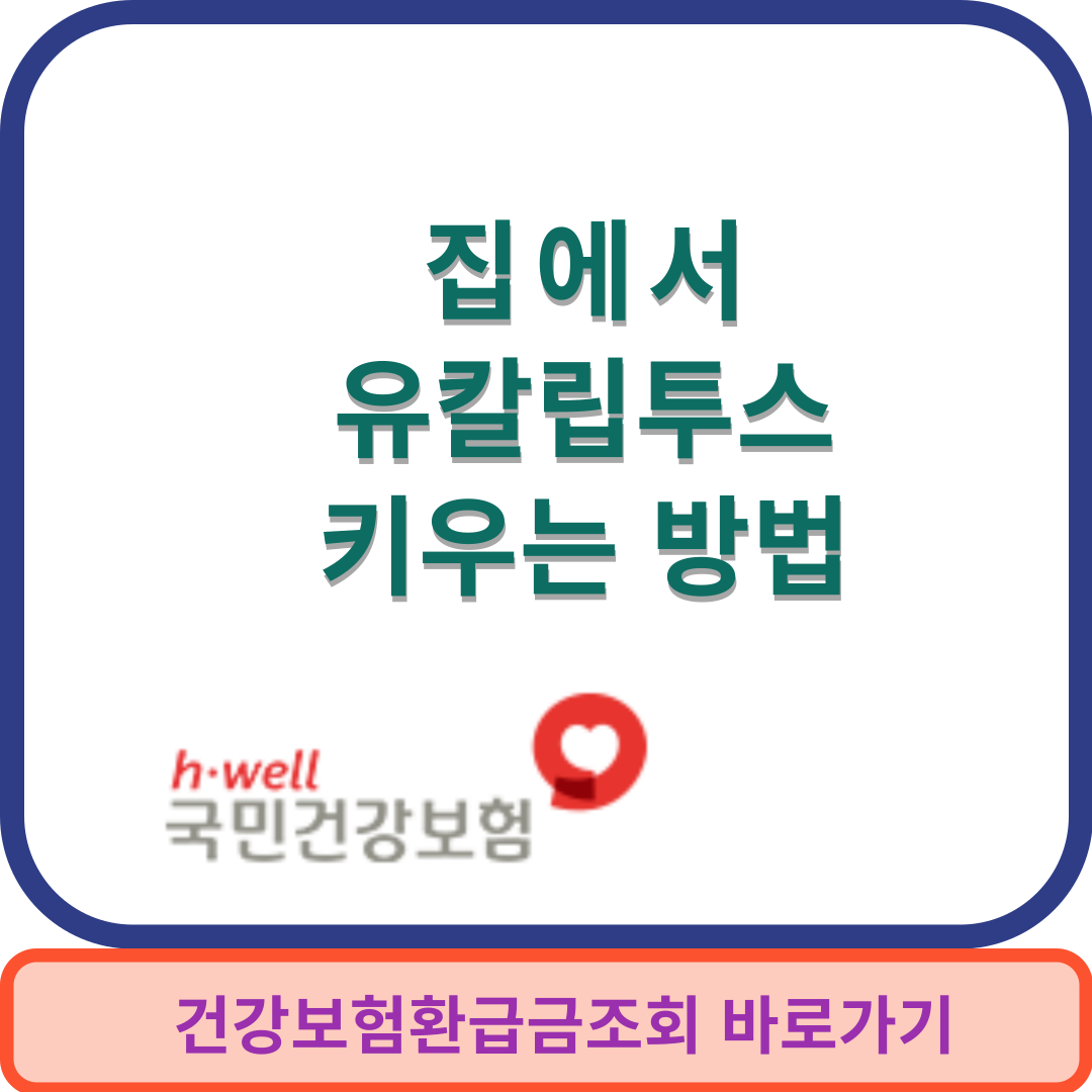 유칼립투스썸네일