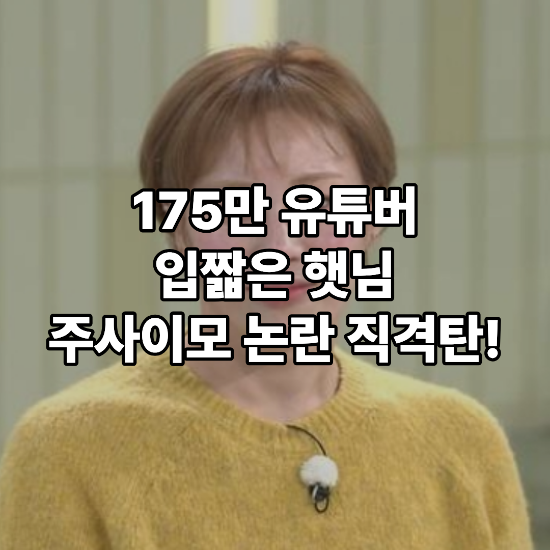 입짧은 햇님 주사이모 논란 결국 활동 중단&hellip;왜 이렇게까지 번졌나 놀토의 저주