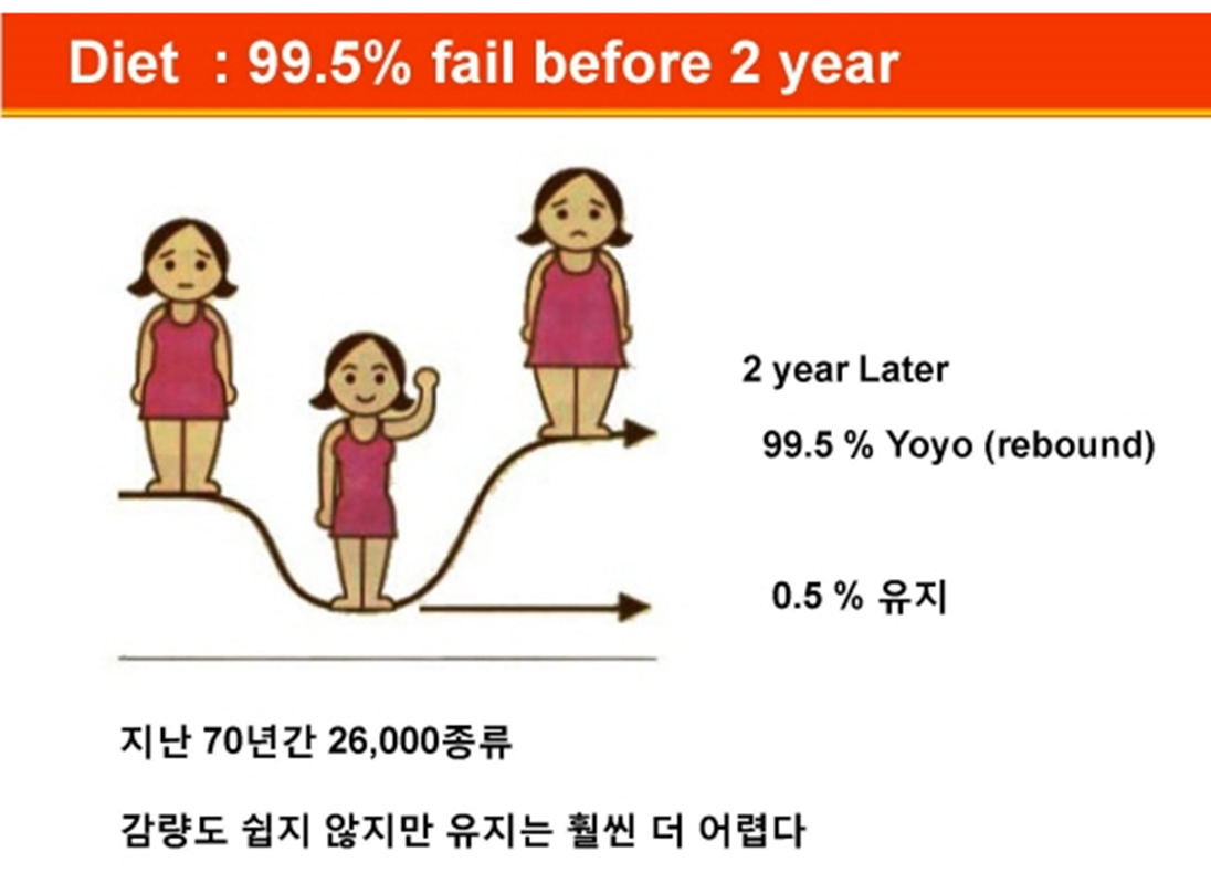 다이어트, 왜 할수록 더 찌는 걸까? 요요현상