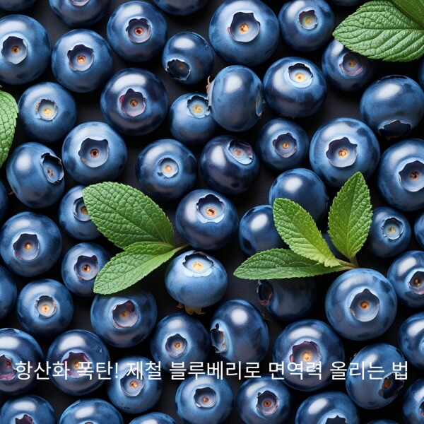 블루베리가 면역력에 좋은 이유/gpt