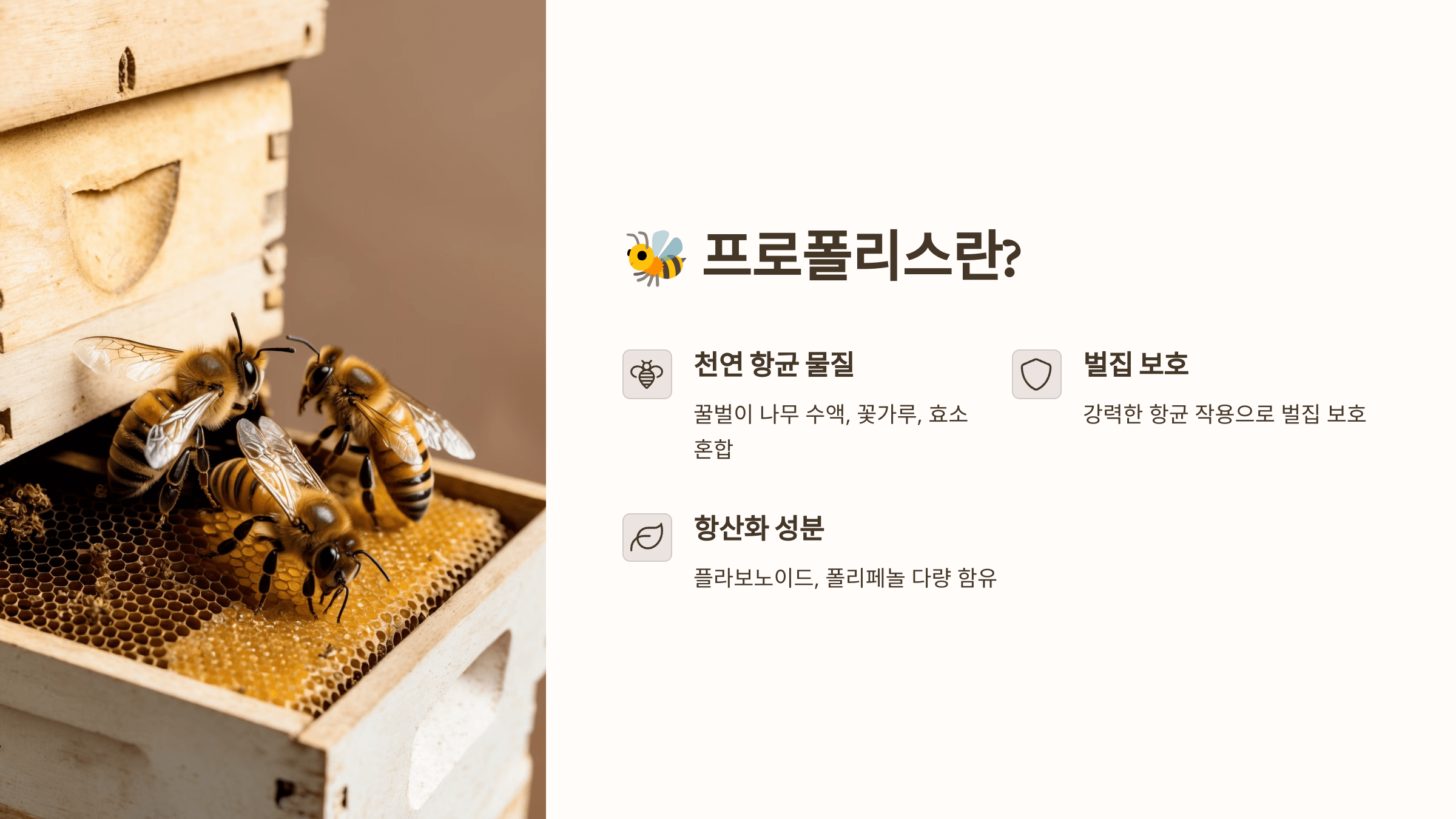 프로폴리스와 관련된 사진입니다.