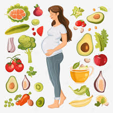 엽산의 권장 섭취량은