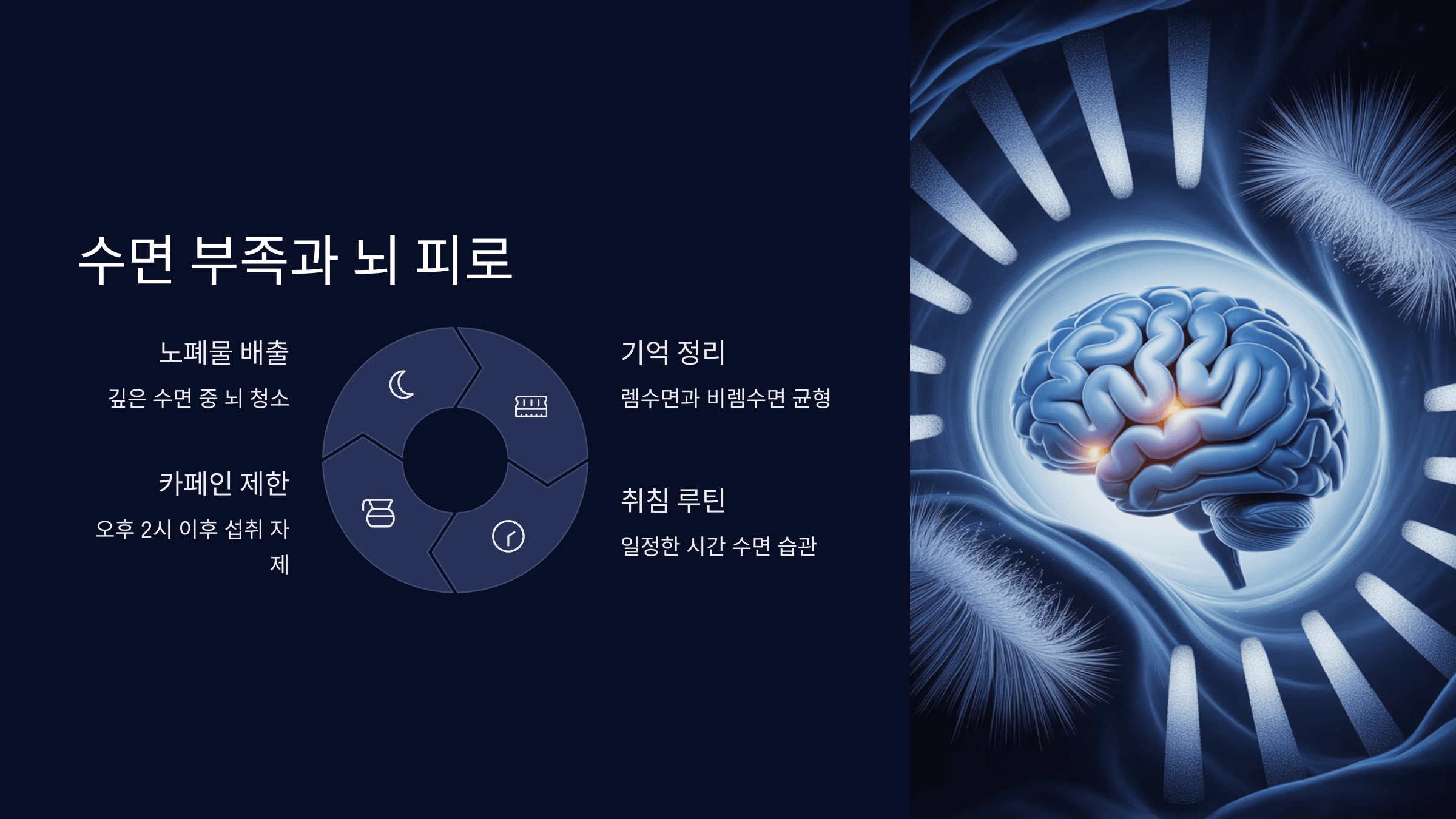 수면 부족과 뇌 피로