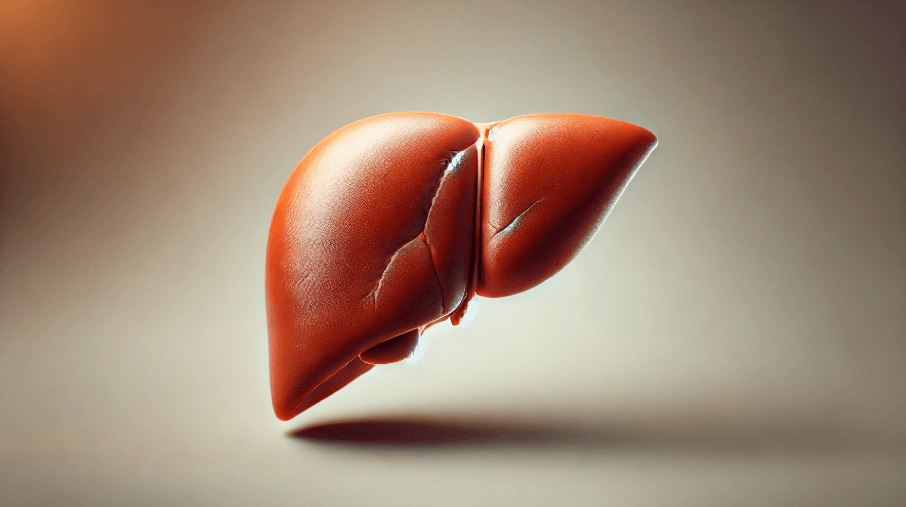 간의 형태와 질감을 알 수 있는 이미지