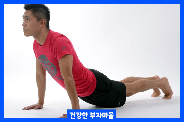 전립선에-좋은-운동-요가