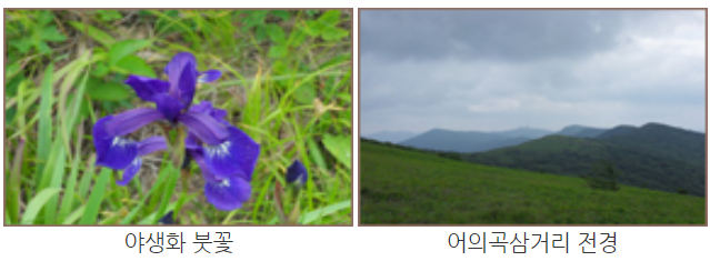 소백산 등산코스