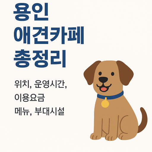 반려견과 함께 즐기는 용인 애견카페 총정리