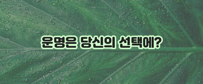사다리타기 프로그램