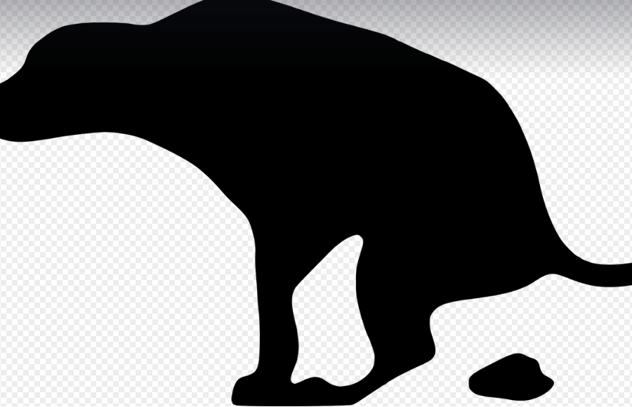 똥꿈 해몽 풀이